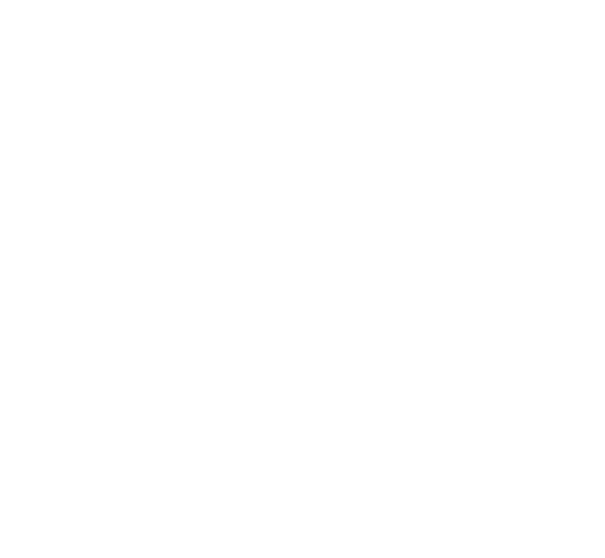 DS Visuals monogram